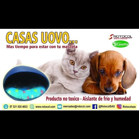 Trabajo de Rotocol S.A.S.