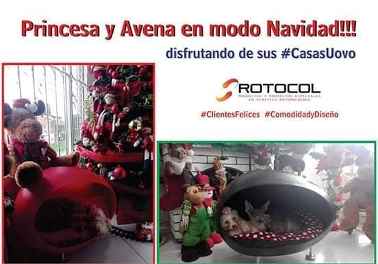 Trabajo de Rotocol S.A.S.