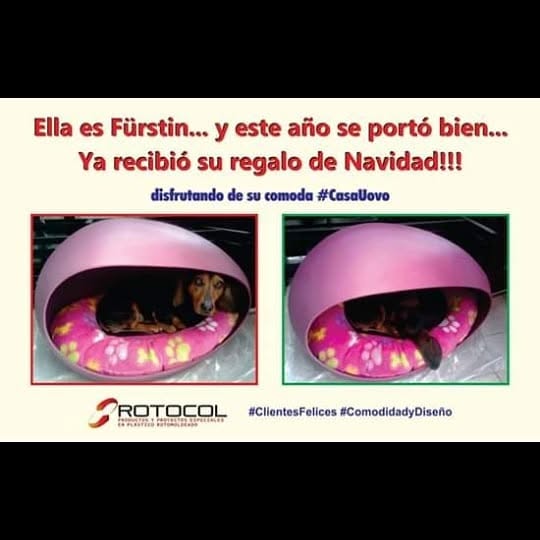Trabajo de Rotocol S.A.S.